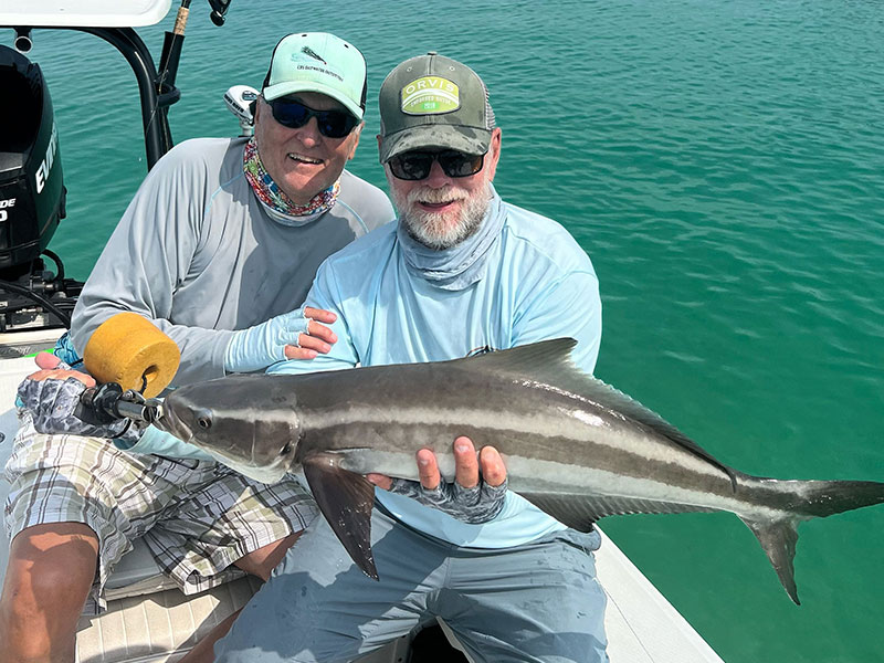 Dennis Ondercin, from Sarasota, and Capt. Rick Grassett with a cobia that was caught and released on a DOA Shrimp while fishing the coastal gulf recently.