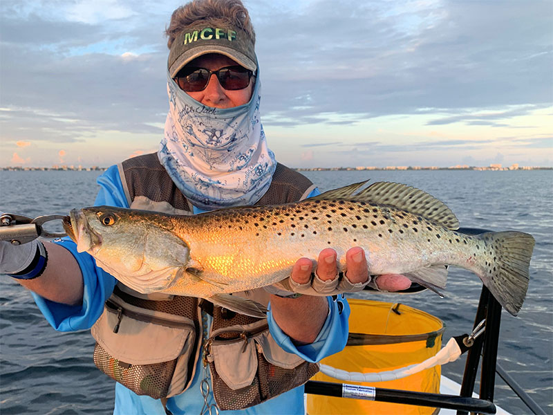 Mangrove Coast Fly Fishers president Ken Babineau, from Sarasota, had good action catching and releasing trout at dawn on flies while fishing Sarasota Bay in a previous August.
