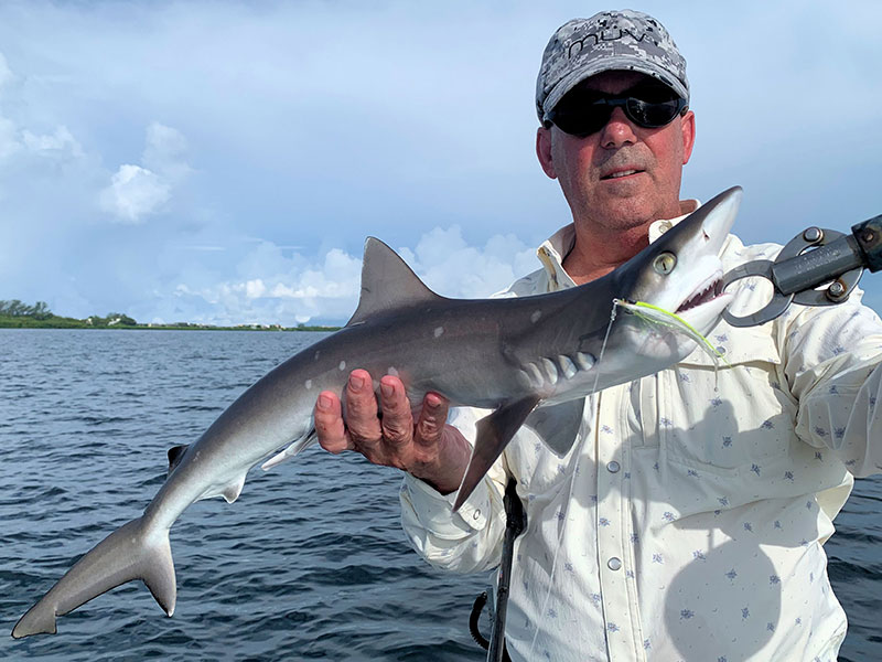 Lyle Beckwith, from VA, with a Sharpnose shark he caught and released on flies while fishing Sarasota Bay with Capt. Rick Grassett. 