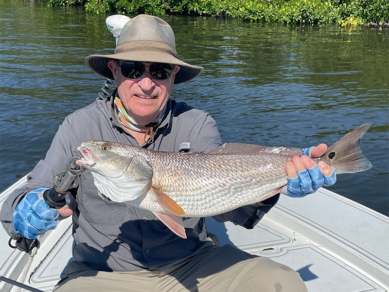 Jerry, from Central Florida, caught and released this beautiful looking Red.