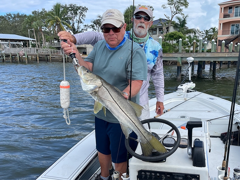 Bob with the Snook in his hands, and his friend John, both from PA, fished Sarasota Bay this past week.
