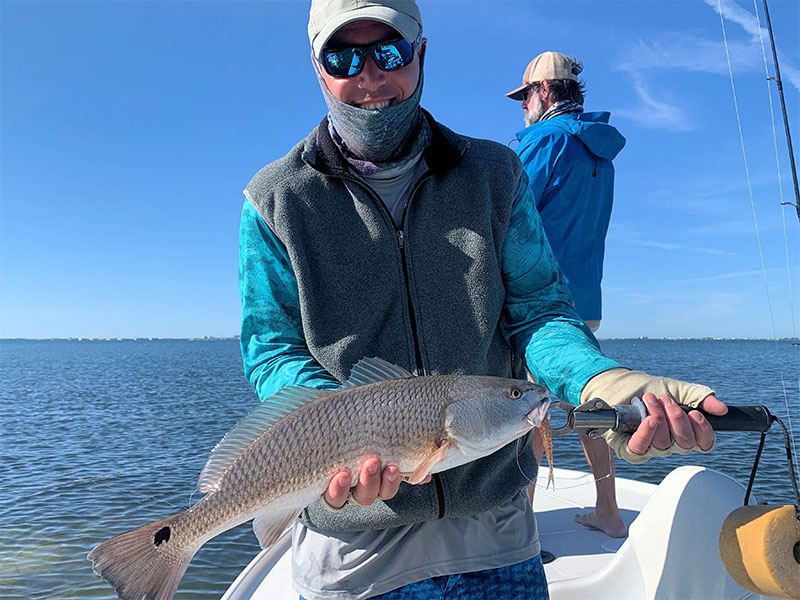 Jim Hazlett, from Sarasota, with a Sarasota Bay red caught and released on a CAL jig with a shad tail while fishing with Capt. Rick Grassett in a previous November.