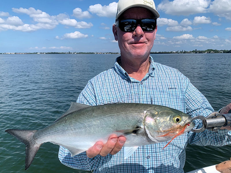 Kirk Grassett with a blue caught and released on a fly, fishing Sarasota Bay.