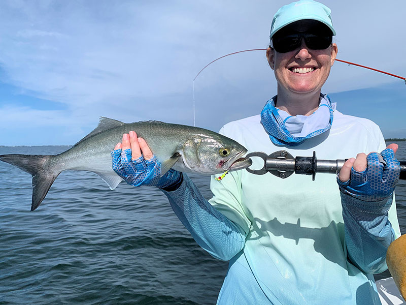 Tatiana Giardina, from Switzerland, with a pompano (top) on a fly and a bluefish (below) on a CAL jig with a shad tail both caught and released while fishing Sarasota Bay with Capt. Rick Grassett recently