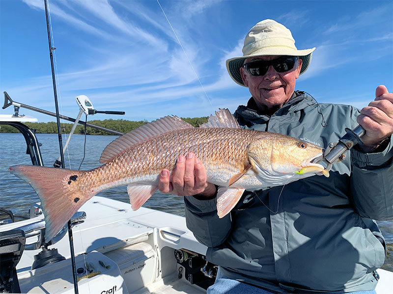 Keith McClintock caught and released this healthy looking Redfish fishing Sarasota Bay in a previous January with Capt. Grassett.
