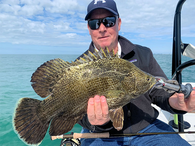 Depending on conditions and water temperature there may be some tripletail around during January. Kirk Grassett, from Middletown, DE, caught and released this on on a fly while fishing with Capt. rick Grassett in a previous January.