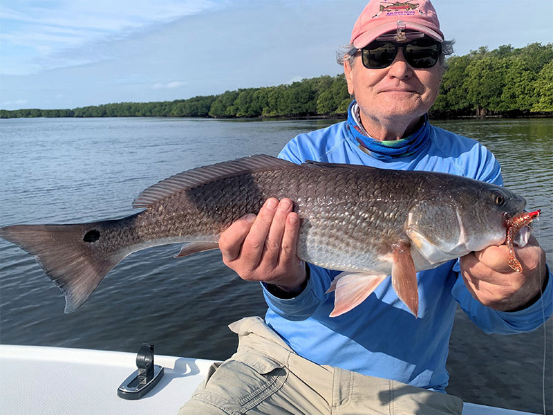 Jerry Poslusny, from Palmetto, with a Red he caught and released on CAL jigs with shad tails in Tampa Bay and with me recently.