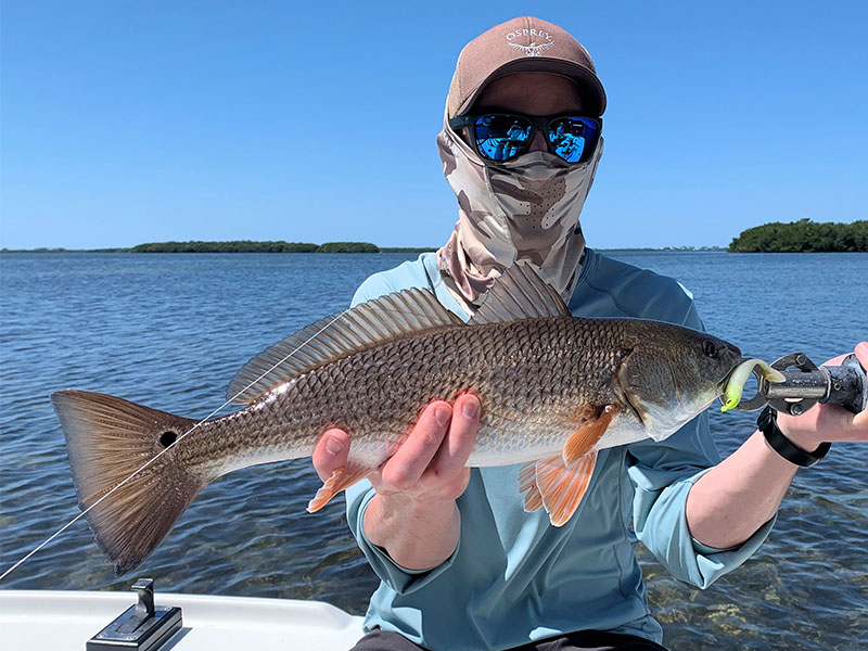 Dan Reinhart, from VT, with a red, both caught and released on CAL jigs with shad tails while fishing Gasparilla Sound with Capt. Rick Grassett in a previous March.