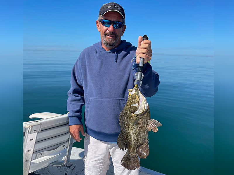 Tripletail seemed to be the catch of the day.