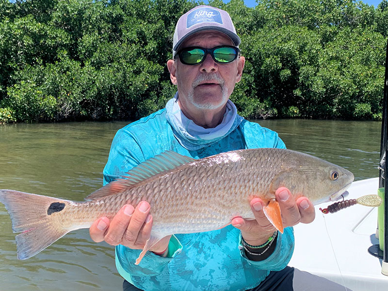 Mike Perez, from Sarasota, with a Sarasota Bay Red caught and released on a CAL jig with a grub while fishing with Capt. Rick Grassett in a previous May.