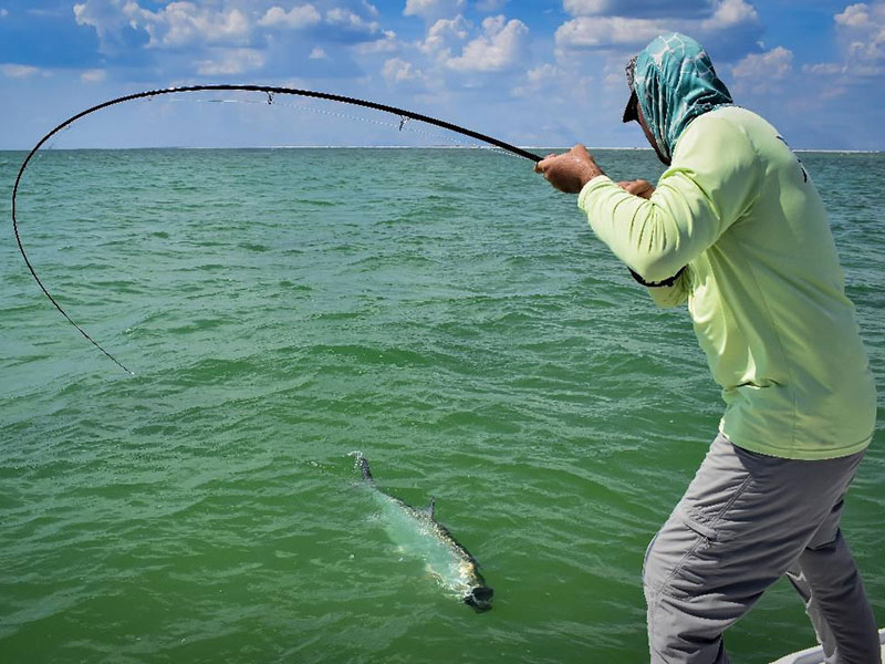 Justin Hamblet, from Sarasota, caught and released this Tarpon on a fly in a previous July while fishing the coastal gulf with Capt. Rick Grassett.