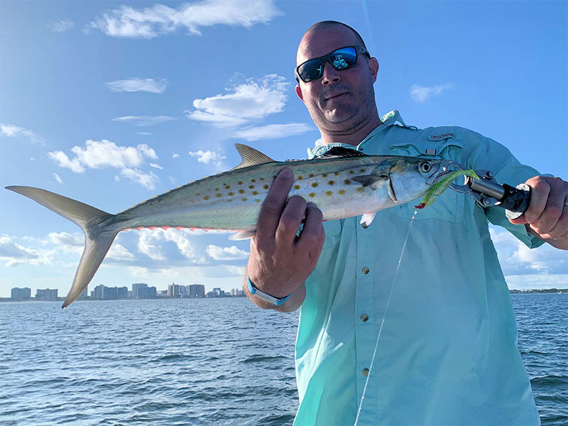 Steve Pullum, from Hayesville, NC, with a Spanish mackerel, caught and released on DOA Lures while fishing Sarasota Bay with Capt. Rick Grassett.