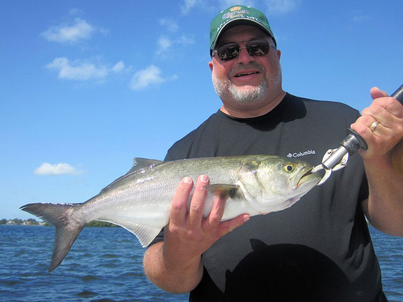 Collin Myers, from PA, with a bluefish caught and released on a DOA Deadly Combo while fishing with Capt. Rick Grassett in a previous September.