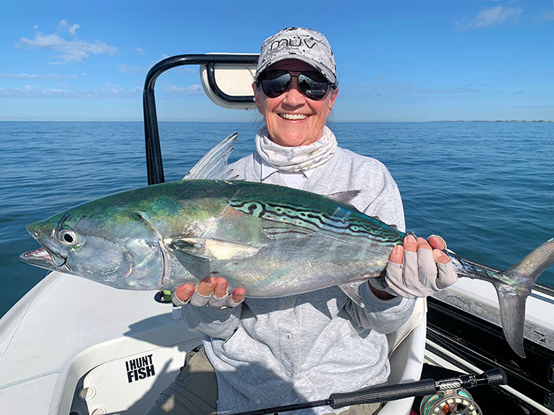 Pat Beckwith, from Sarasota,with false albacore caught and released on flies while fishing the coastal gulf with Capt. Rick Grassett recently.