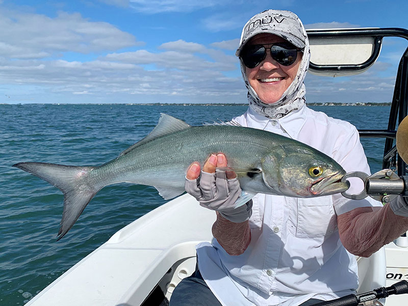 Pat Beckwith, from Sarasota, with a bluefish caught and released on flies while fishing Sarasota Bay with Capt. Rick Grassett recently.