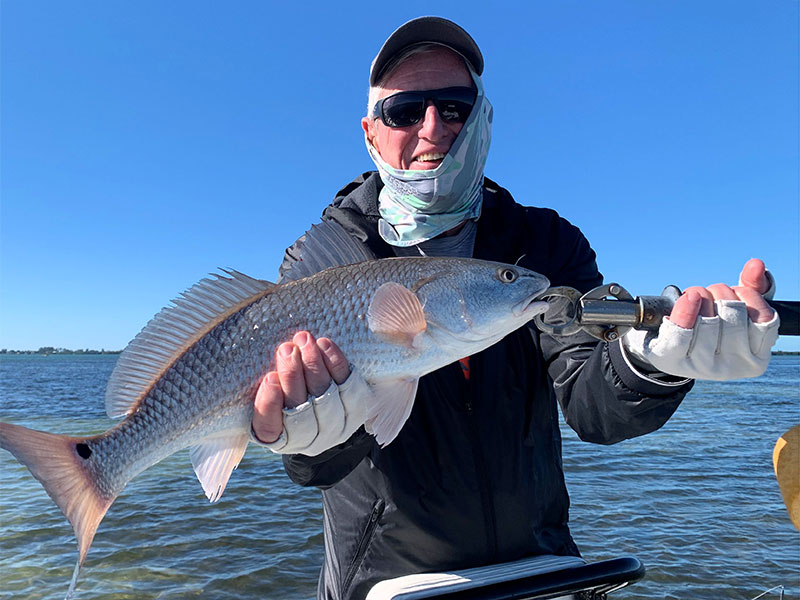 There should be good action in skinny water in January. Marshall Dinerman, from Lido Key, with a red caught and released on CAL jigs with shad tails while fishing Sarasota Bay with Capt. Rick Grassett in a previous January.