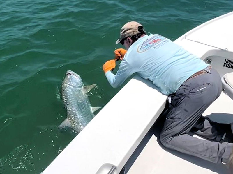 Capt. Rick Grassett is shown here working Mason Ondercin's line as they prepare to release the Tarpon.